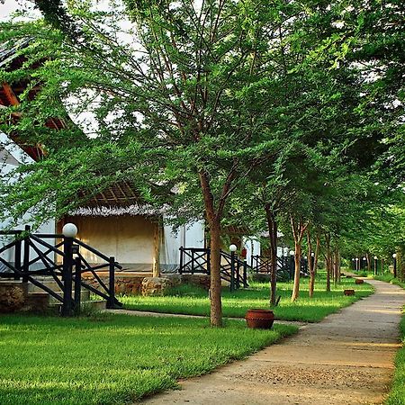 فندق Manyatta Camp Voi المظهر الخارجي الصورة